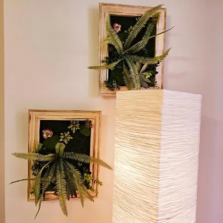 アパート Aria's 3